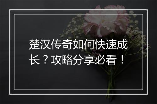 楚汉传奇如何快速成长？攻略分享必看！