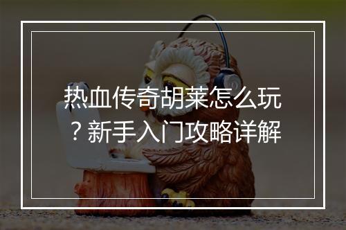 热血传奇胡莱怎么玩？新手入门攻略详解