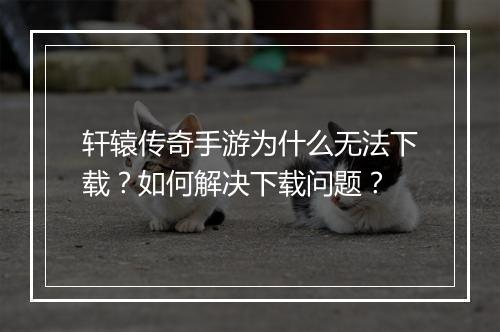 轩辕传奇手游为什么无法下载？如何解决下载问题？