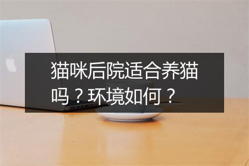 猫咪后院适合养猫吗？环境如何？