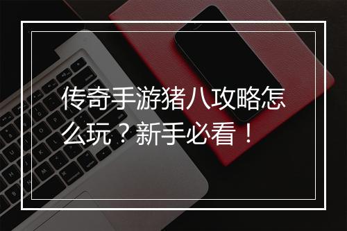 传奇手游猪八攻略怎么玩？新手必看！