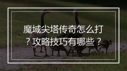 魔域尖塔传奇怎么打？攻略技巧有哪些？