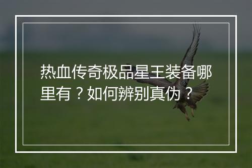 热血传奇极品星王装备哪里有？如何辨别真伪？