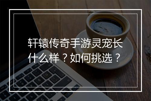 轩辕传奇手游灵宠长什么样？如何挑选？
