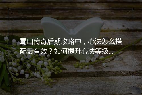 蜀山传奇后期攻略中，心法怎么搭配最有效？如何提升心法等级？