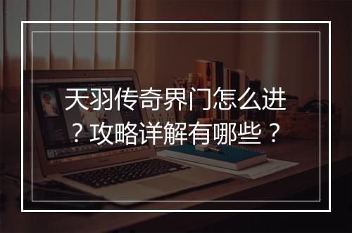 天羽传奇界门怎么进？攻略详解有哪些？
