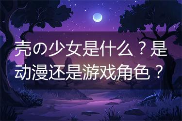 壳の少女是什么？是动漫还是游戏角色？