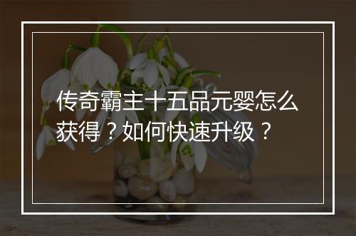 传奇霸主十五品元婴怎么获得？如何快速升级？