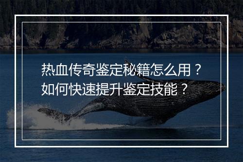 热血传奇鉴定秘籍怎么用？如何快速提升鉴定技能？