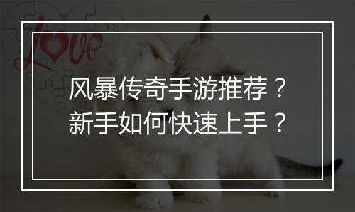 风暴传奇手游推荐？新手如何快速上手？