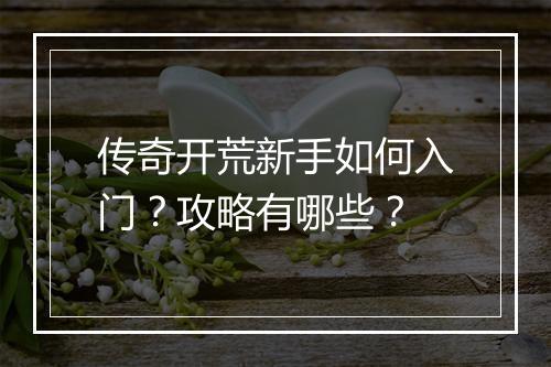 传奇开荒新手如何入门？攻略有哪些？