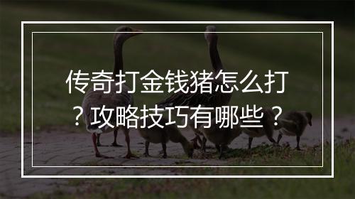 传奇打金钱猪怎么打？攻略技巧有哪些？