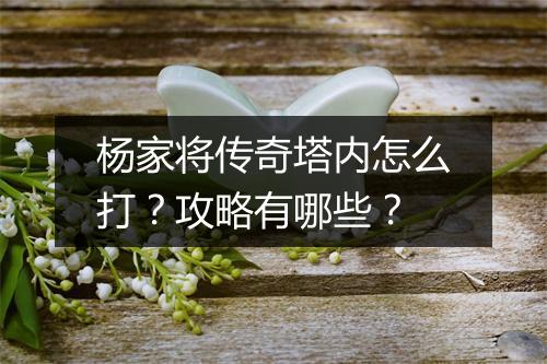 杨家将传奇塔内怎么打？攻略有哪些？