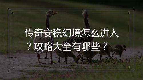 传奇安稳幻境怎么进入？攻略大全有哪些？