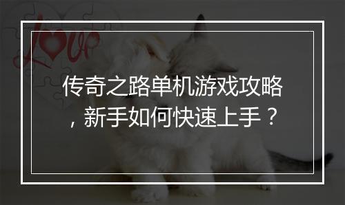 传奇之路单机游戏攻略，新手如何快速上手？