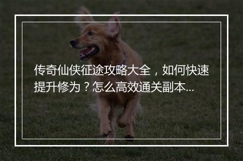 传奇仙侠征途攻略大全，如何快速提升修为？怎么高效通关副本？