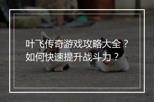 叶飞传奇游戏攻略大全？如何快速提升战斗力？
