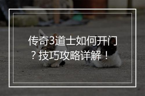 传奇3道士如何开门？技巧攻略详解！