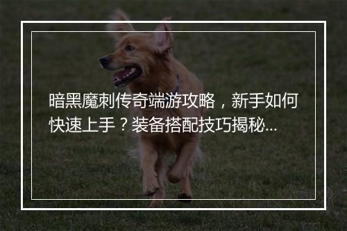 暗黑魔刺传奇端游攻略，新手如何快速上手？装备搭配技巧揭秘？