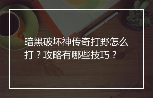暗黑破坏神传奇打野怎么打？攻略有哪些技巧？