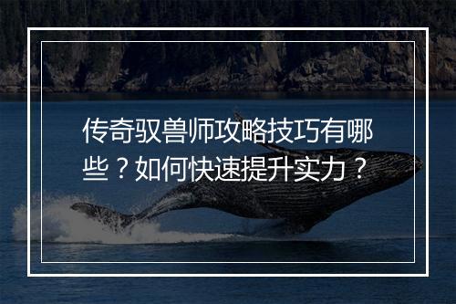 传奇驭兽师攻略技巧有哪些？如何快速提升实力？