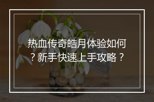 热血传奇皓月体验如何？新手快速上手攻略？