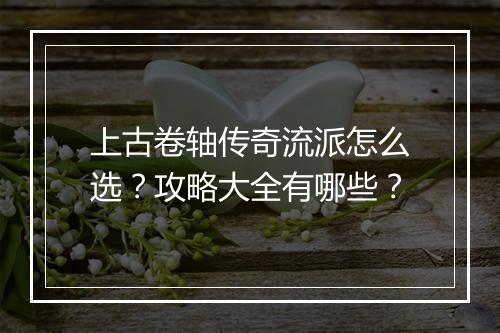 上古卷轴传奇流派怎么选？攻略大全有哪些？
