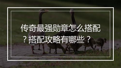 传奇最强勋章怎么搭配？搭配攻略有哪些？