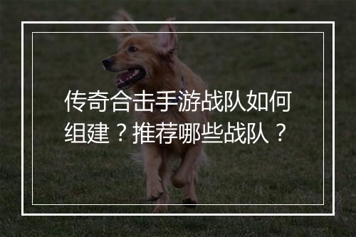 传奇合击手游战队如何组建？推荐哪些战队？