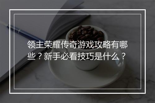 领主荣耀传奇游戏攻略有哪些？新手必看技巧是什么？