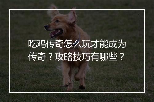 吃鸡传奇怎么玩才能成为传奇？攻略技巧有哪些？