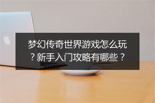 梦幻传奇世界游戏怎么玩？新手入门攻略有哪些？