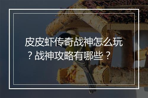 皮皮虾传奇战神怎么玩？战神攻略有哪些？
