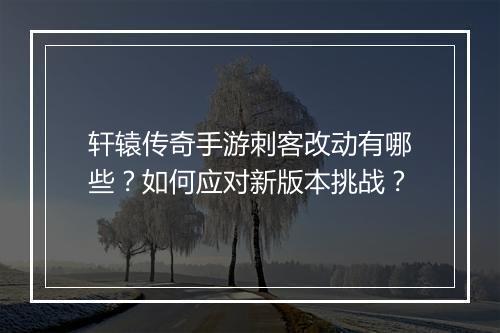 轩辕传奇手游刺客改动有哪些？如何应对新版本挑战？