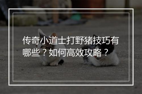 传奇小道士打野猪技巧有哪些？如何高效攻略？