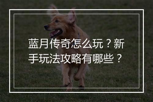 蓝月传奇怎么玩？新手玩法攻略有哪些？