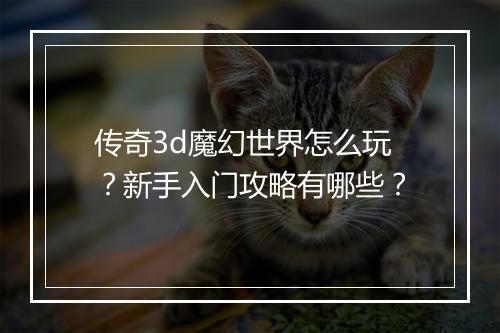 传奇3d魔幻世界怎么玩？新手入门攻略有哪些？