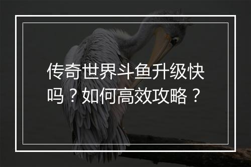 传奇世界斗鱼升级快吗？如何高效攻略？