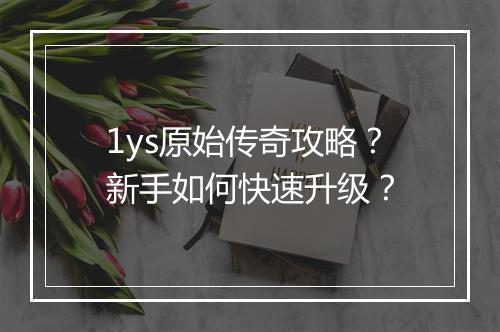 1ys原始传奇攻略？新手如何快速升级？