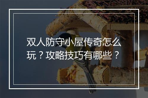 双人防守小屋传奇怎么玩？攻略技巧有哪些？