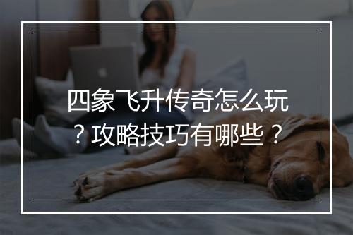 四象飞升传奇怎么玩？攻略技巧有哪些？