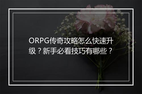 ORPG传奇攻略怎么快速升级？新手必看技巧有哪些？