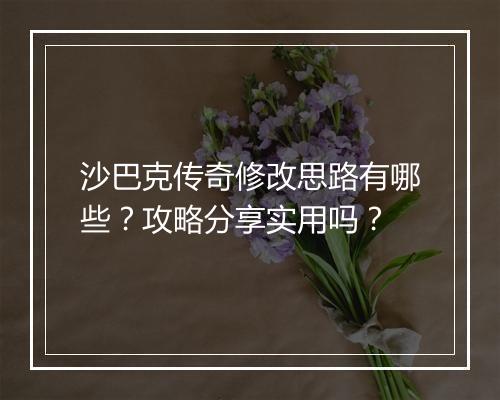 沙巴克传奇修改思路有哪些？攻略分享实用吗？