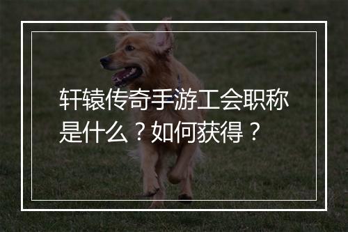 轩辕传奇手游工会职称是什么?如何获得?