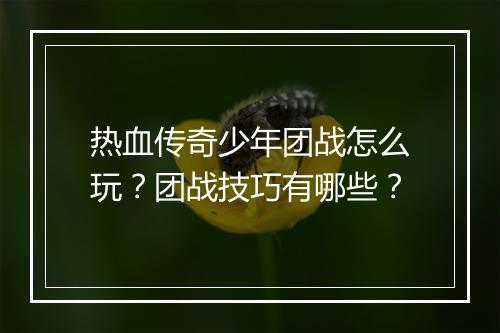 热血传奇少年团战怎么玩？团战技巧有哪些？