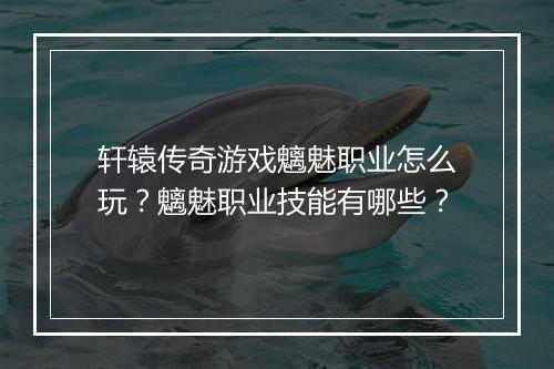 轩辕传奇游戏魑魅职业怎么玩？魑魅职业技能有哪些？