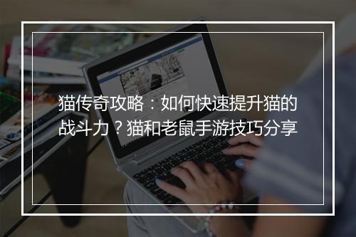 猫传奇攻略：如何快速提升猫的战斗力？猫和老鼠手游技巧分享