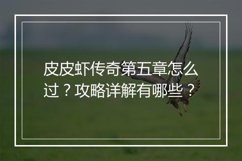 皮皮虾传奇第五章怎么过？攻略详解有哪些？