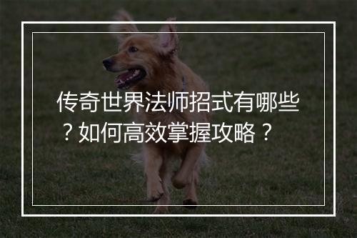 传奇世界法师招式有哪些？如何高效掌握攻略？