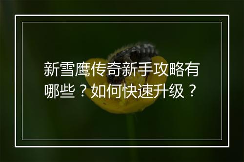 新雪鹰传奇新手攻略有哪些？如何快速升级？